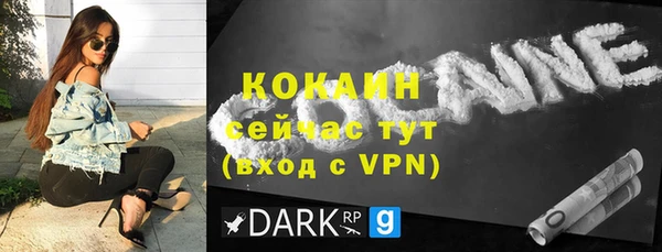 дживик Снежногорск