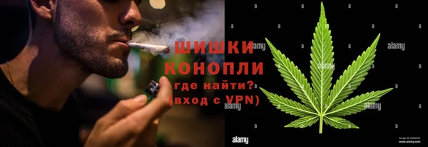 дживик Снежногорск
