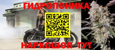герыч Севастополь