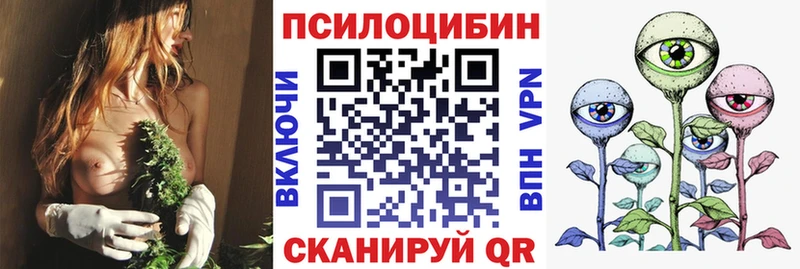 как найти наркотики Заринск Псилоцибиновые грибы Magic Shrooms