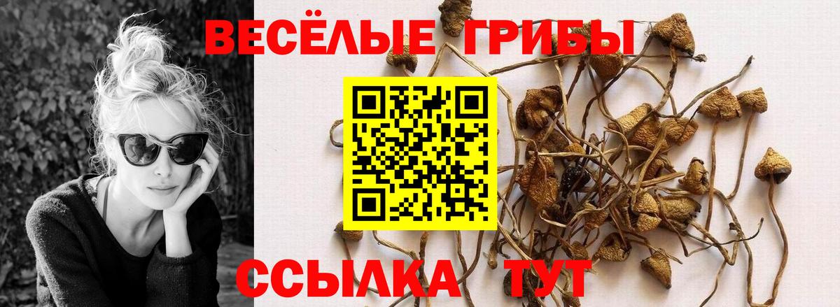 Галлюциногенные грибы мицелий  Галлюциногенные грибы Cubensis  Вход с VPN  Заринск 
